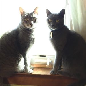 Meet your Posher, Maria